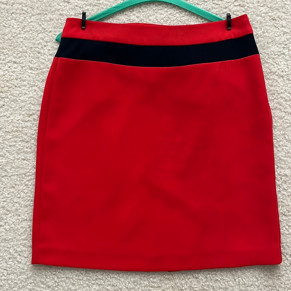 Banana Republic Fully Lined Skirt Size 4
